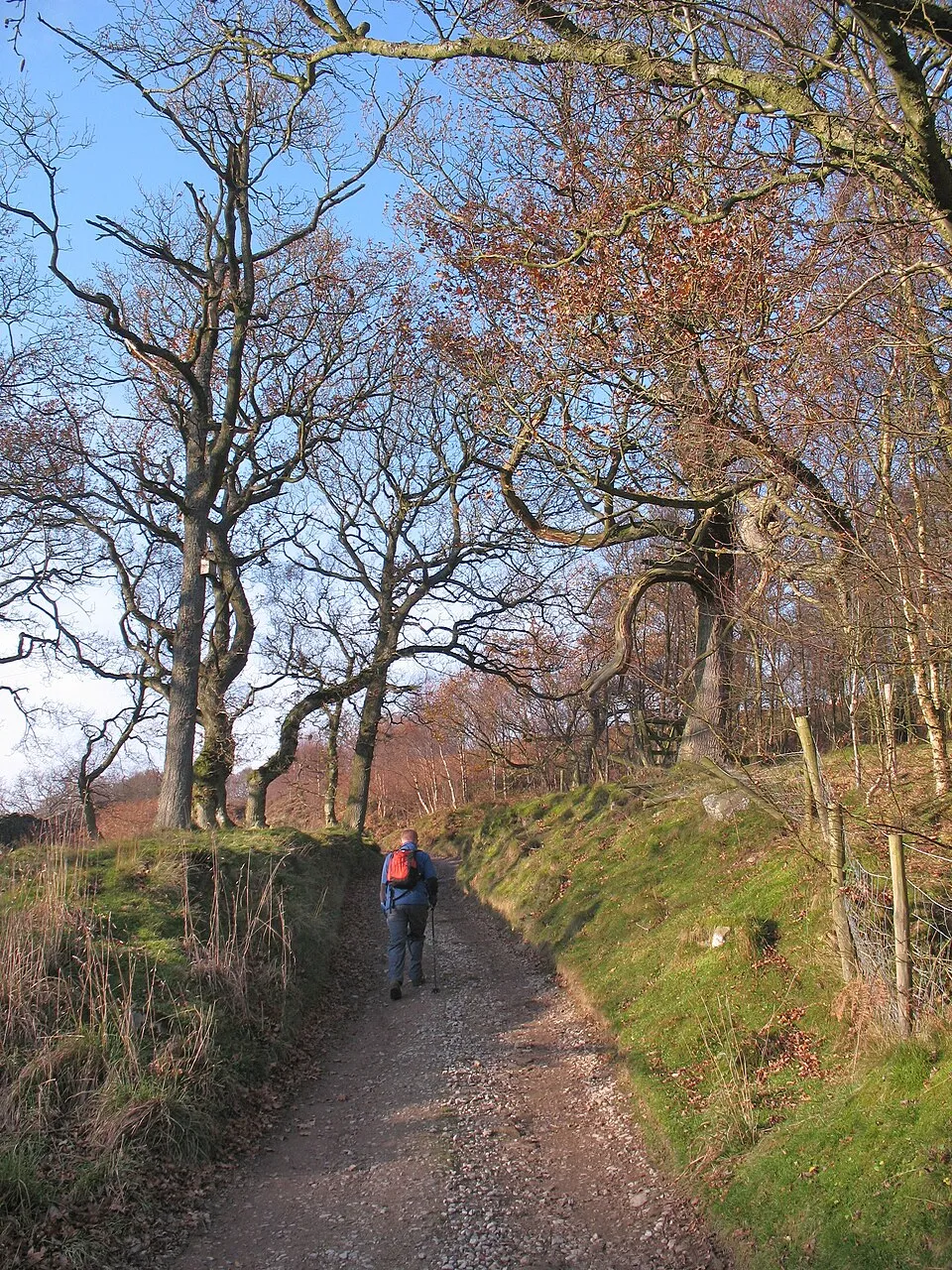 Illustration: Extended Walking Trails and Long-Distance Challenges