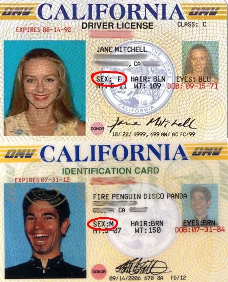 Illustration: Frequently Asked Questions About More Than Equal Success Stories Illustration: Frequently Asked Questions About More Than Equal Success Stories