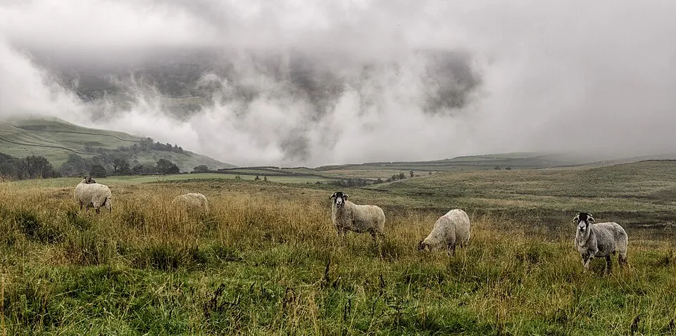 Illustration: Frequently Asked Questions About Yorkshire Dales National Park Near Harrogate