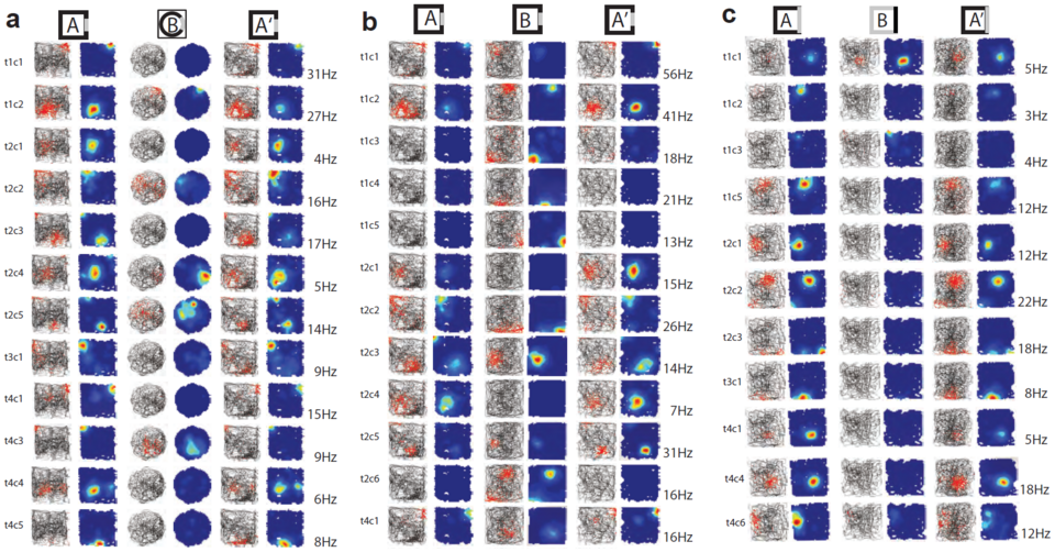 Illustration: How Does Engine Mapping Unlock Performance?
