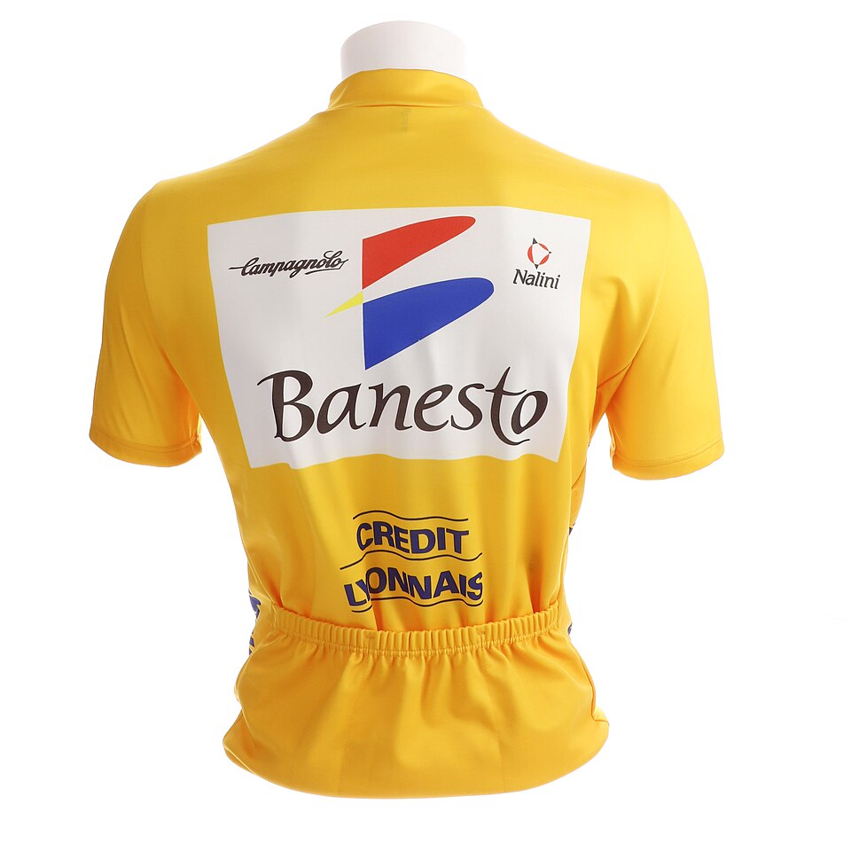 Illustration: Operational Excellence and Strategic Flexibility in Modern Racing