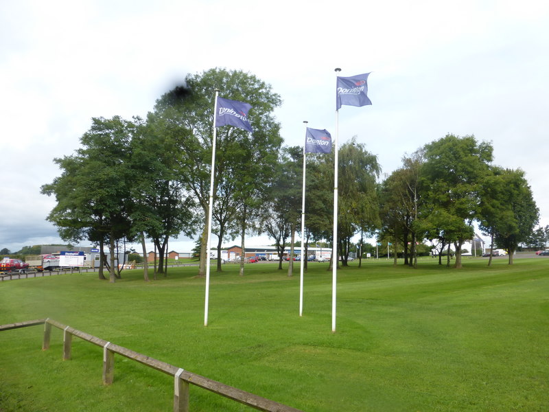 Illustration: Racing Flag Variations: Series Differences and Digital Technology Illustration: Racing Flag Variations: Series Differences and Digital Technology