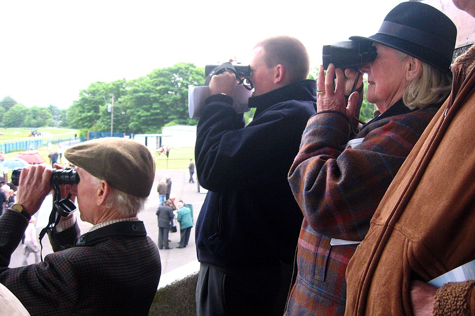 Illustration: The Judicial Authority and Core Functions of Racing Stewards Illustration: The Judicial Authority and Core Functions of Racing Stewards