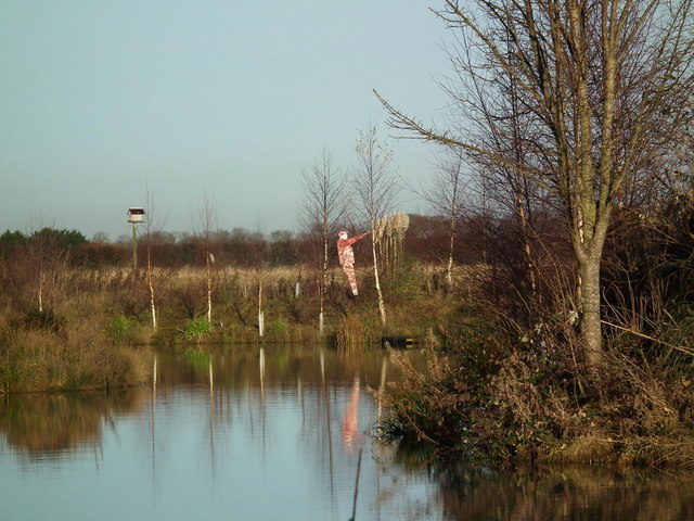 Illustration: What is More Than Equal and how does it aim to develop female F1 champions?