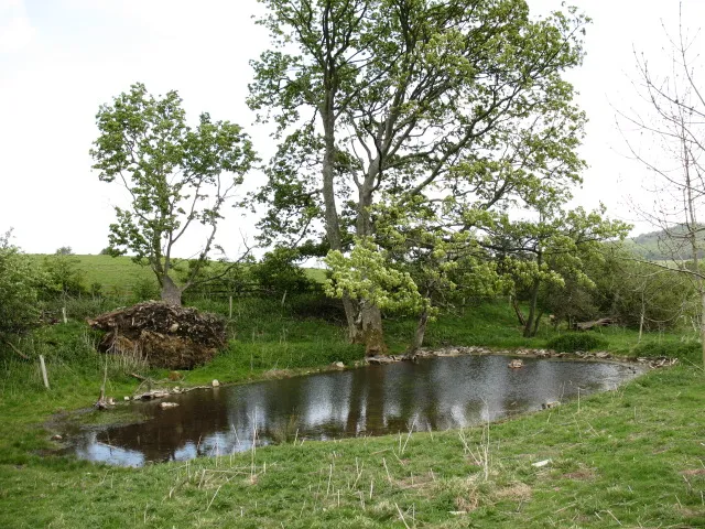 Illustration: When and Where to Spot Wildlife in the Yorkshire Dales: 2026 Seasonal Guide