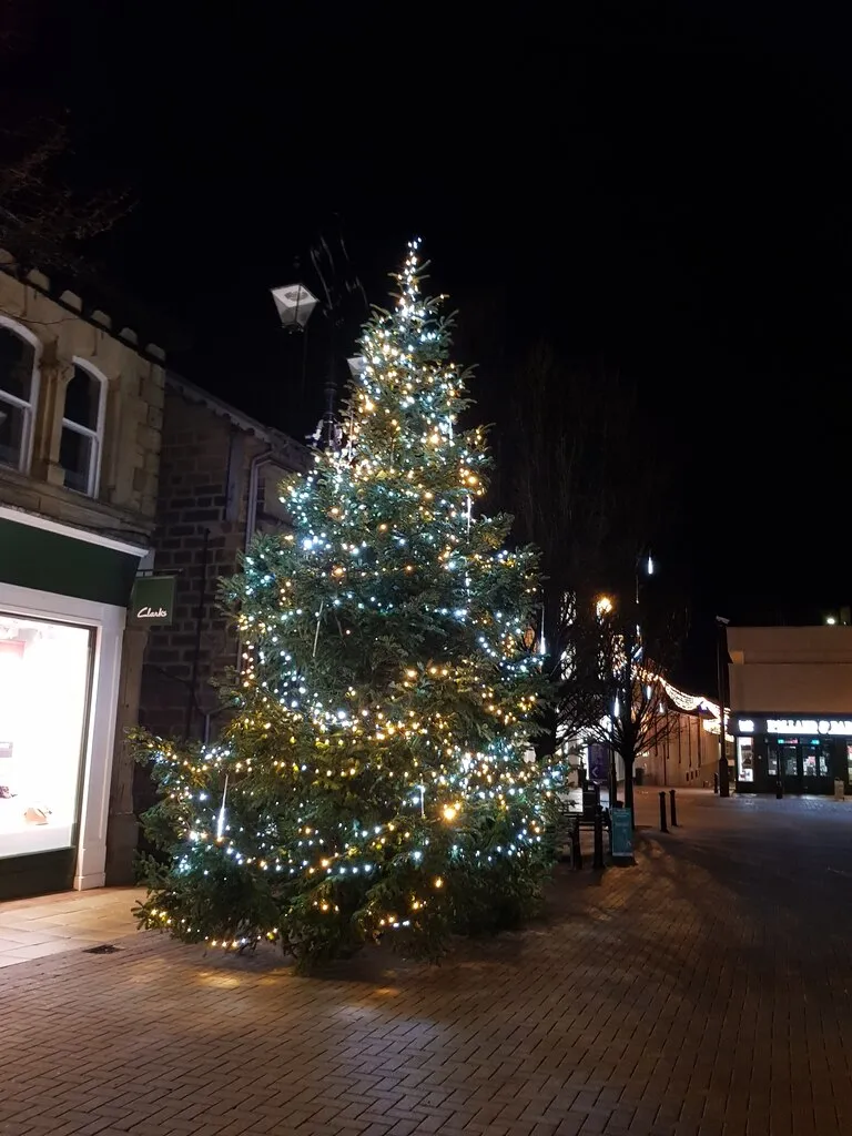 Illustration: Why Visit the Little Bird Artisan Market During Harrogate Christmas Season?